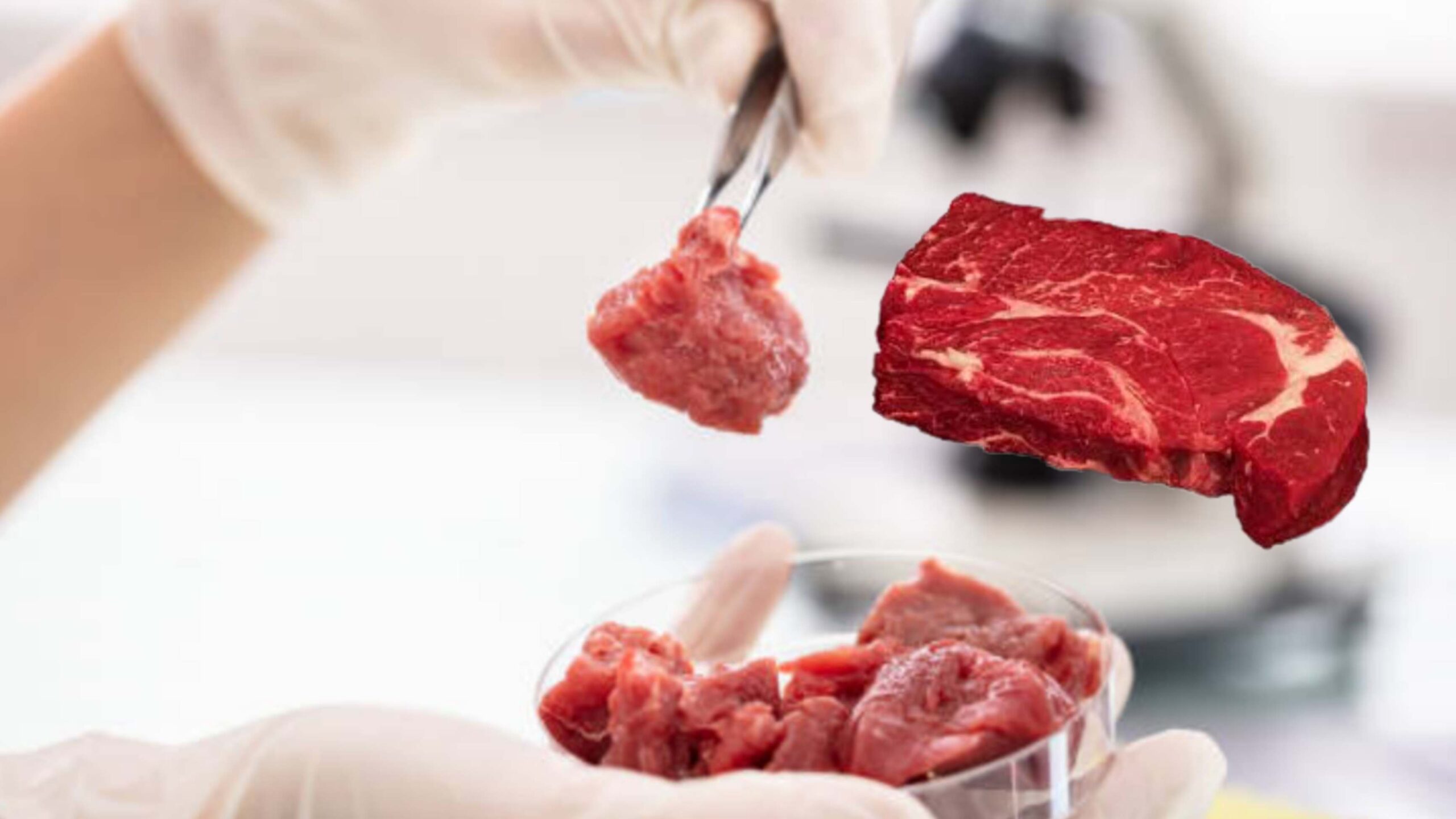 Lab Grown Meat: Future of Sustainable Protein Production